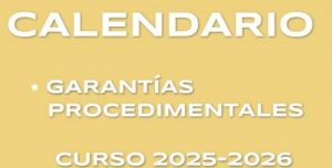 Garantías Procedimentales