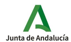 Plataforma para realizar las Pruebas de Diagnóstico 25-26